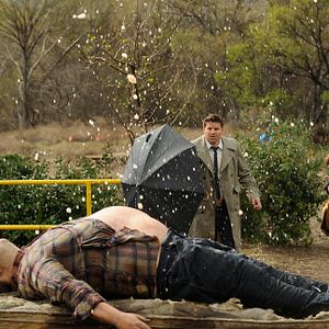 Bilder David Boreanaz