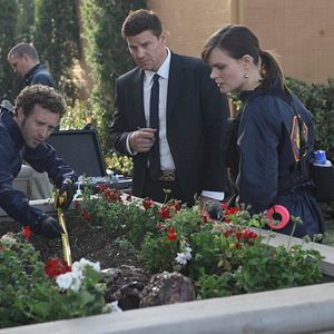 Bilder David Boreanaz