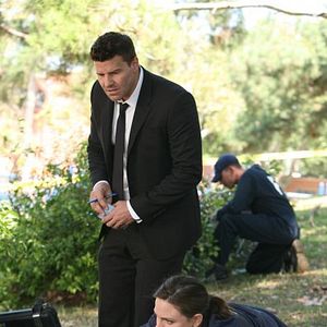 Bilder David Boreanaz