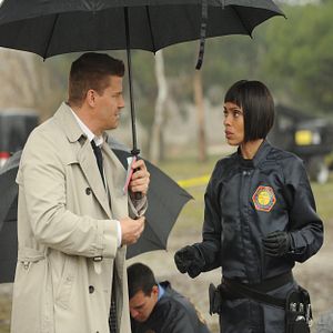 Bilder David Boreanaz