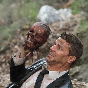 Bilder David Boreanaz