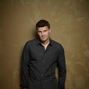 Bilder David Boreanaz