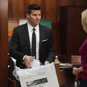 Bilder David Boreanaz