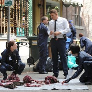 Bilder David Boreanaz