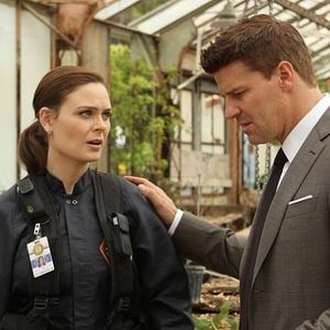 Bilder David Boreanaz