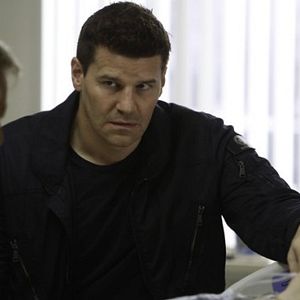 Bilder David Boreanaz