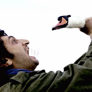 Bilder Navid Akhavan