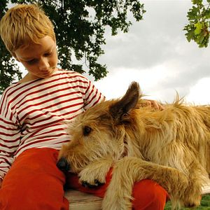 Bilder Manuel Steitz