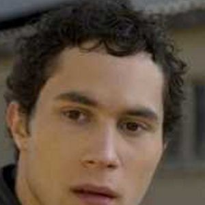 Bilder Ludwig Trepte