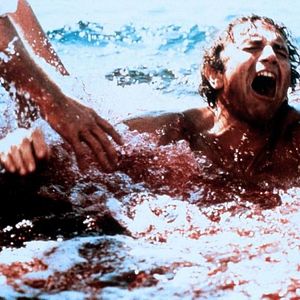 Bilder Piranhas II - Die Rache der Killerfische