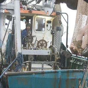 Bilder Ondine - Das Mädchen aus dem Meer