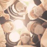 Bilder Kingdom Hospital