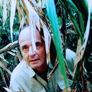 Bilder Dieter Dengler