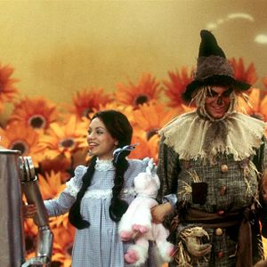 Bilder Die wilden Siebziger