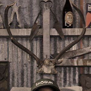 Bilder James Rolleston