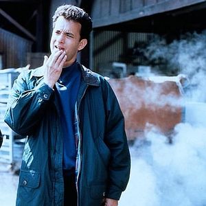 Bilder Beasley the Dog