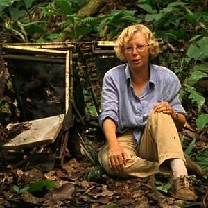 Bilder Juliane Koepcke