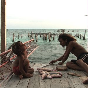 Bilder Natan Machado Palombini