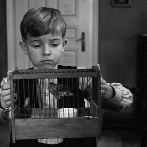 Bilder Thibault Sérié