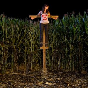 Bilder Erica Durance