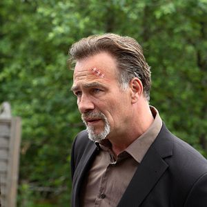 Bilder Klaus J. Behrendt