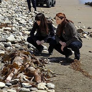 Bilder Amanda Righetti