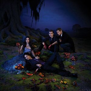 Bilder Ian Somerhalder