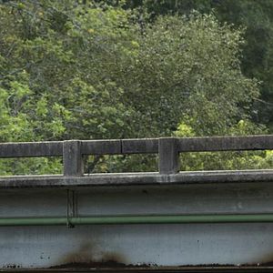 Bilder Ian Somerhalder