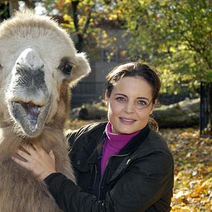 Bilder Tierärztin Dr. Mertens