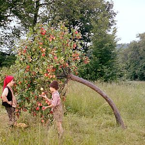 Bilder Martin Stührk