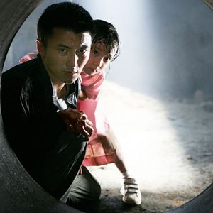 Bilder Suet-yin Wong