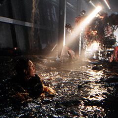 Bilder Virus - Schiff ohne Wiederkehr