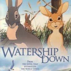 Bilder Watership Down - Unten am Fluß
