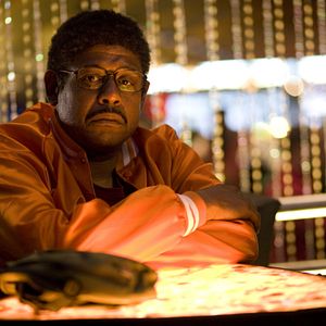 Bilder Winged Creatures