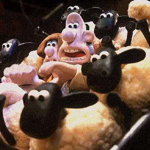 Bilder Wallace & Gromit unter Schafen