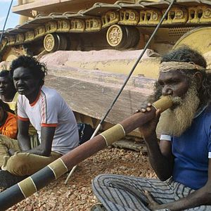 Bilder Wo die grünen Ameisen träumen