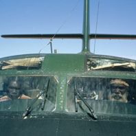 Bilder Wo die grünen Ameisen träumen