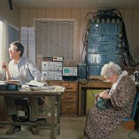 Bilder Wo die grünen Ameisen träumen