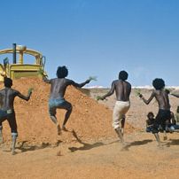 Bilder Wo die grünen Ameisen träumen