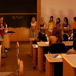 Bilder Party Animals 3