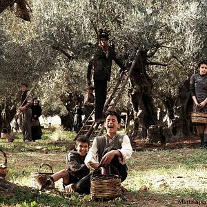 Bilder Baaria - Eine italienische Familiengeschichte