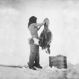 Bilder Spuren im Eis