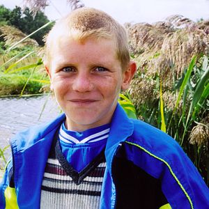 Bilder Holunderblüte