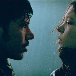 Bilder Johan Libéreau