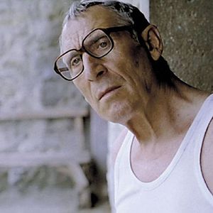 Bilder Federicos Kirschen