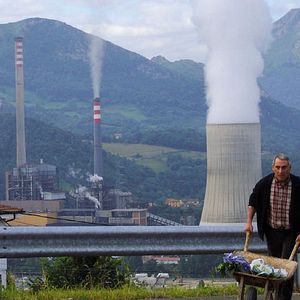 Bilder Federicos Kirschen