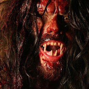 Bilder Chain Reaction