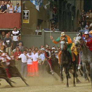 Bilder Il Palio - Das Rennen von Siena