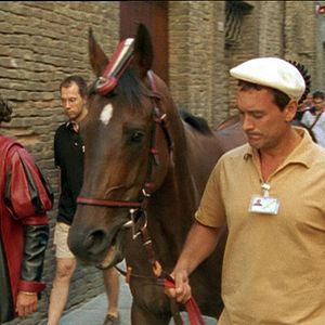 Bilder Il Palio - Das Rennen von Siena
