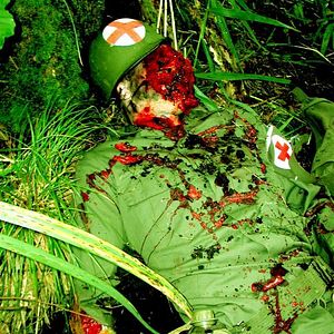 Bilder Tödliches Vietnam